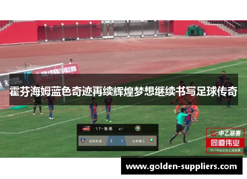 霍芬海姆蓝色奇迹再续辉煌梦想继续书写足球传奇