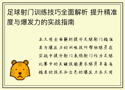 足球射门训练技巧全面解析 提升精准度与爆发力的实战指南