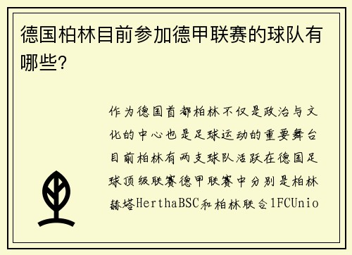 德国柏林目前参加德甲联赛的球队有哪些？